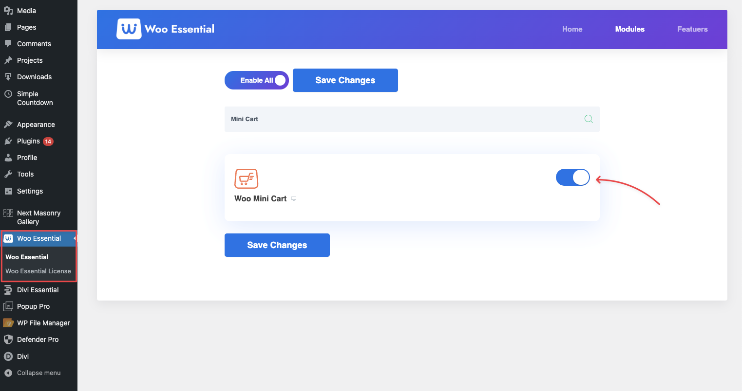 Enabling the Mini Cart Module