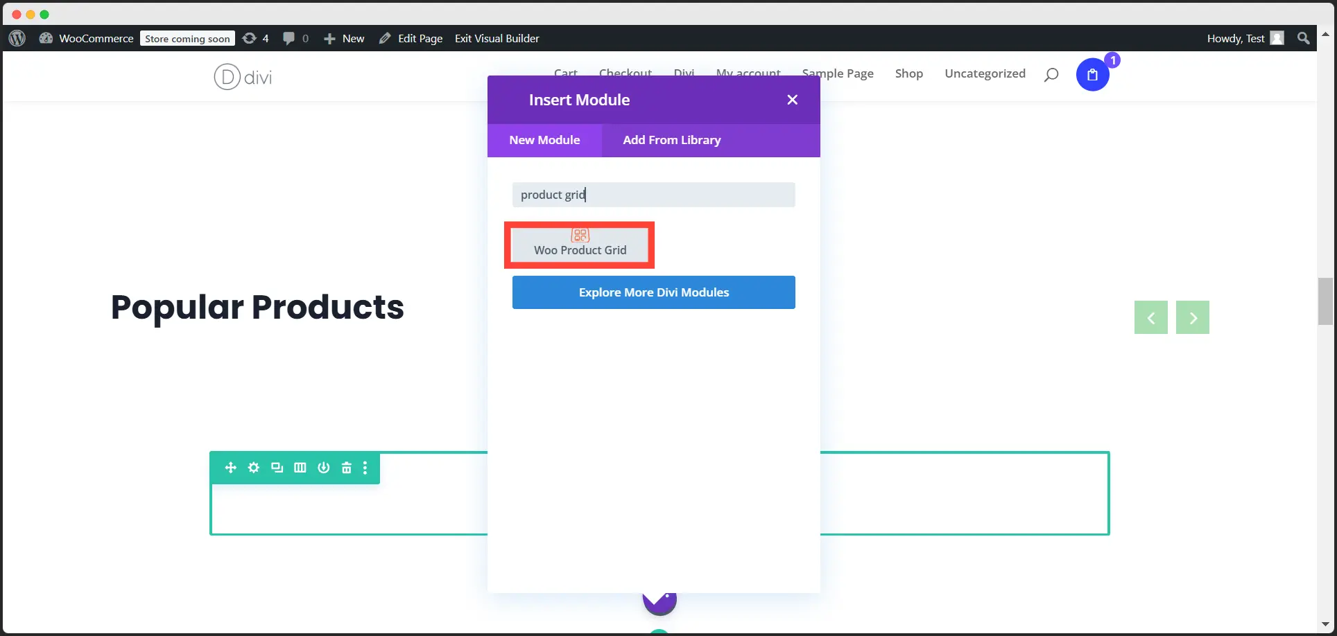 Add the previously saved products to your page by choosing Woo Product Grid