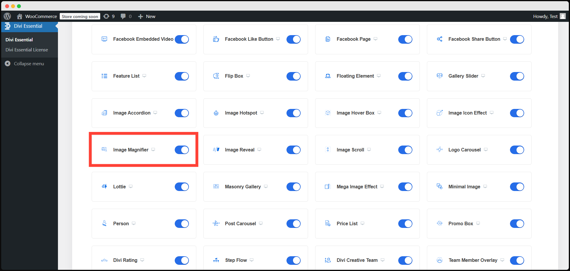 Install the Divi Essential Plugin & activate the Image Magnifier module