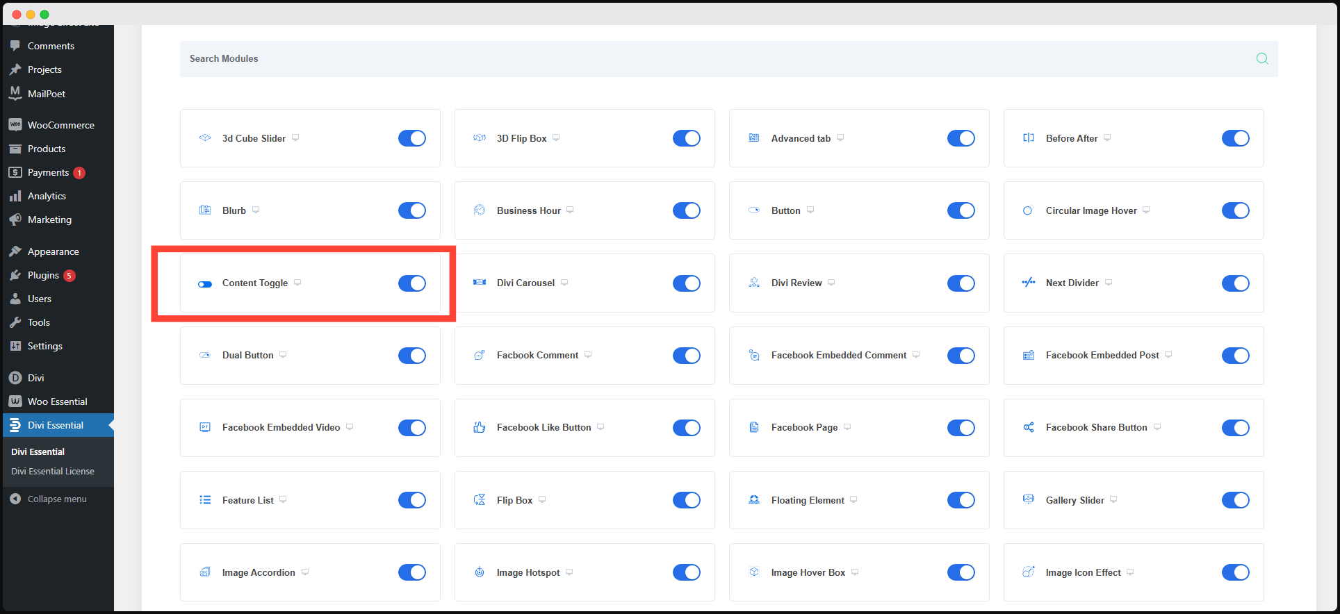 Install Divi Essential & Activate the Modules